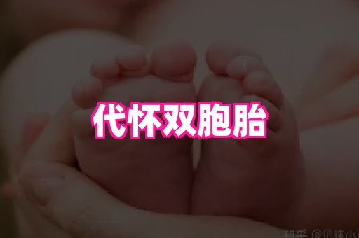 东莞助孕网站 1