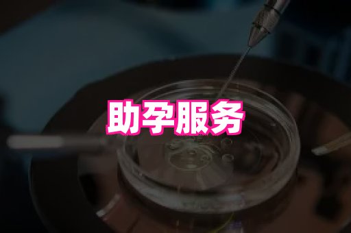 东莞助孕网站 3